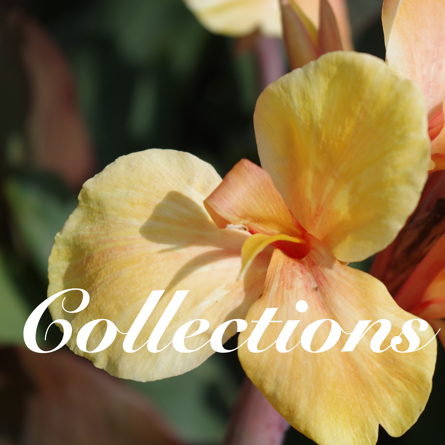 Beds & Borders Quality & Innovation Built On Trust & Experience