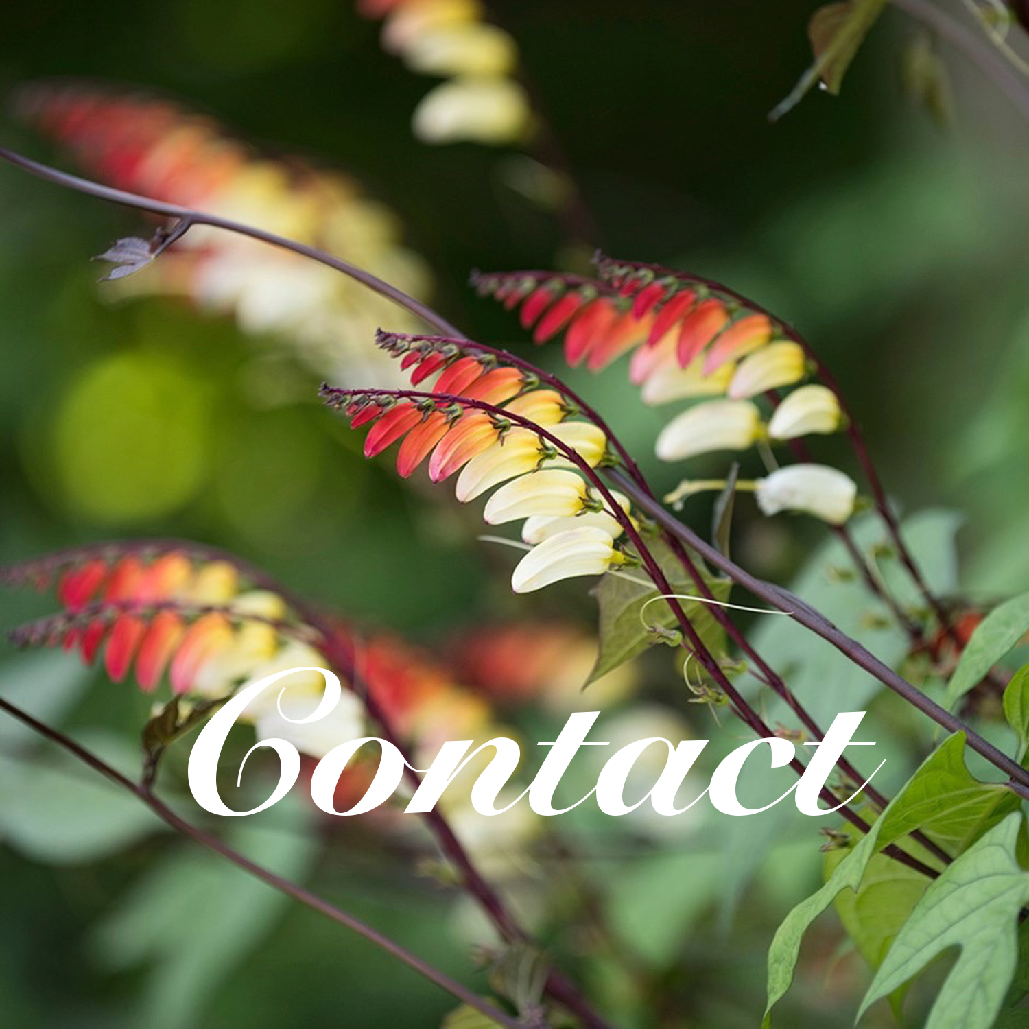 Beds & Borders Quality & Innovation Built On Trust & Experience